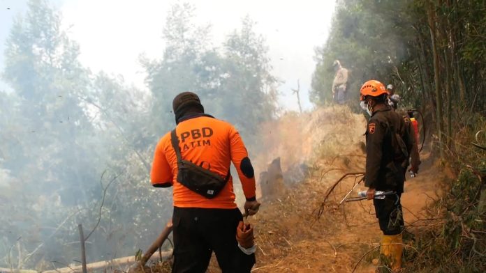 Kebakaran Lahan Hanguskan Vegetasi di Blok Bantengan Senduro