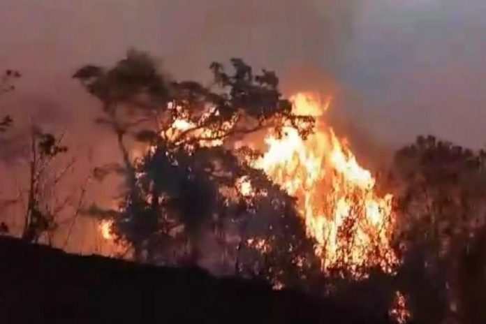 Hutan di kawasan Tahura R Soerjo yang kembali terbakar.