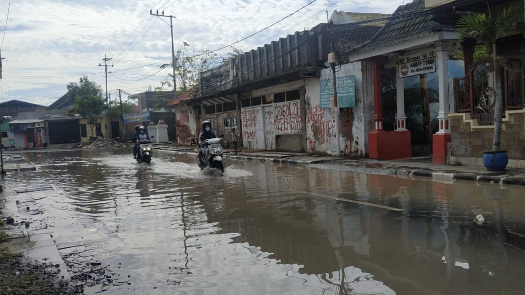 Banjir Rob Genangi Jalan Dan Permukiman Warga Pesisir Kota Pasuruan ...