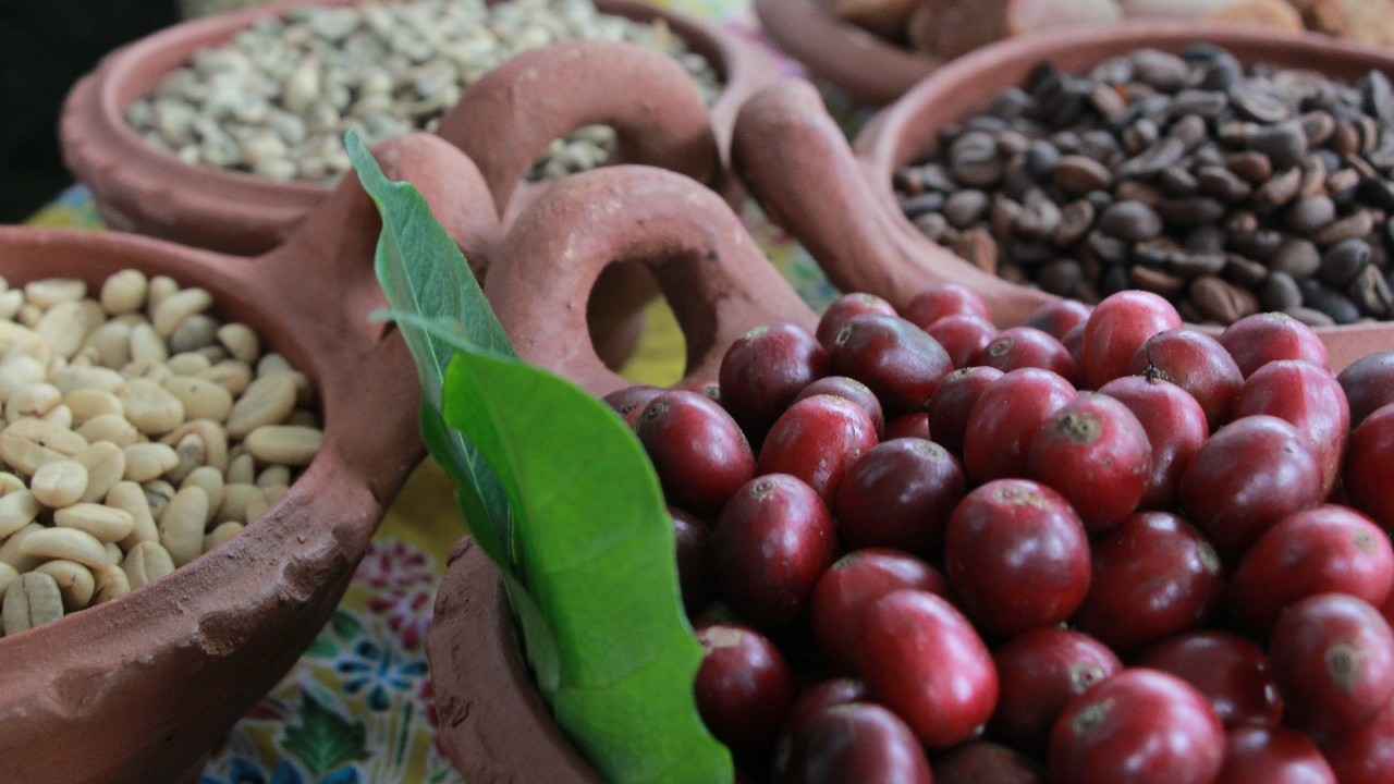 Meraup Untung Dari Kopi Organik - WartaBromo